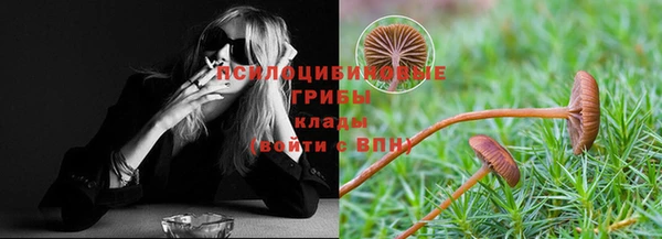герыч Зеленодольск