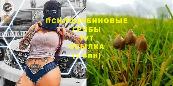 гидропоника Сосновый Бор