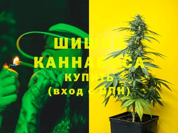ECSTASY Сосновка